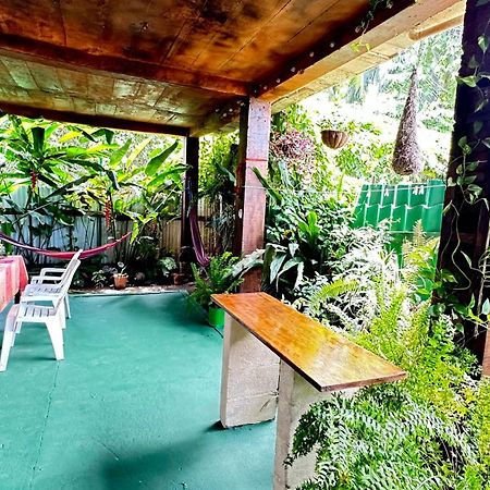 Natural Experience House Tortuguero Dış mekan fotoğraf