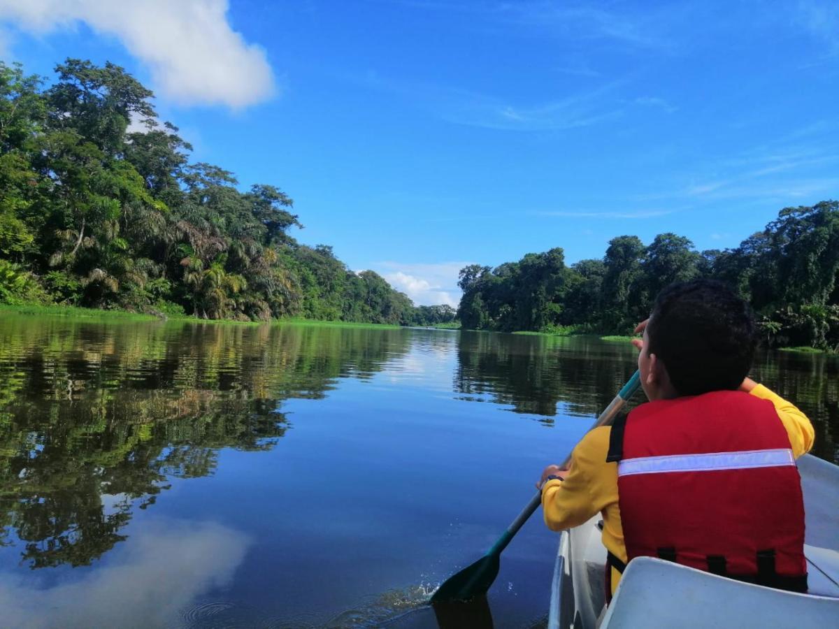 Natural Experience House Tortuguero Dış mekan fotoğraf