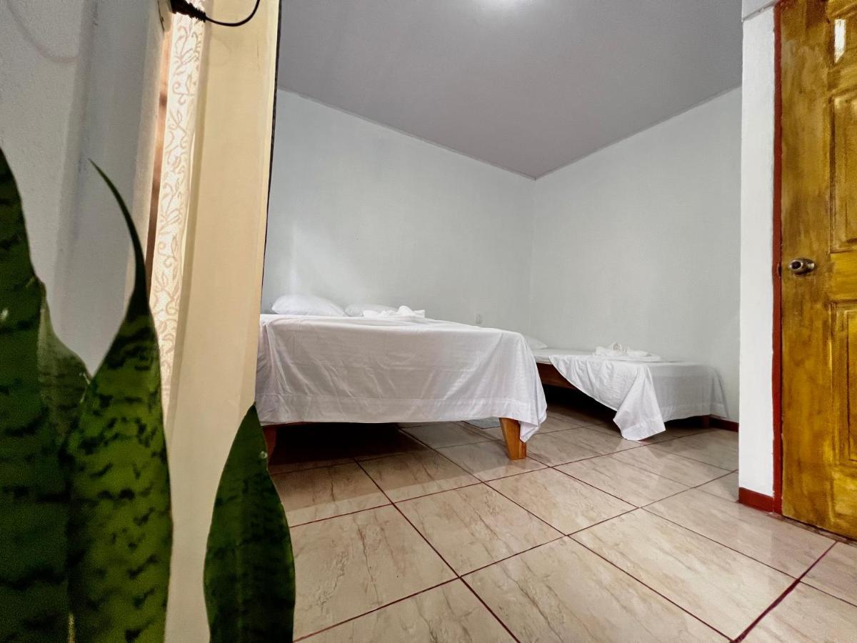 Natural Experience House Tortuguero Dış mekan fotoğraf