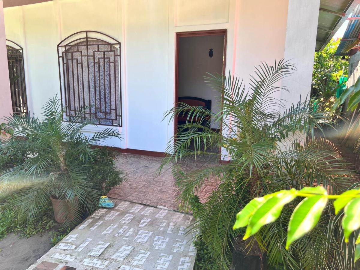 Natural Experience House Tortuguero Dış mekan fotoğraf