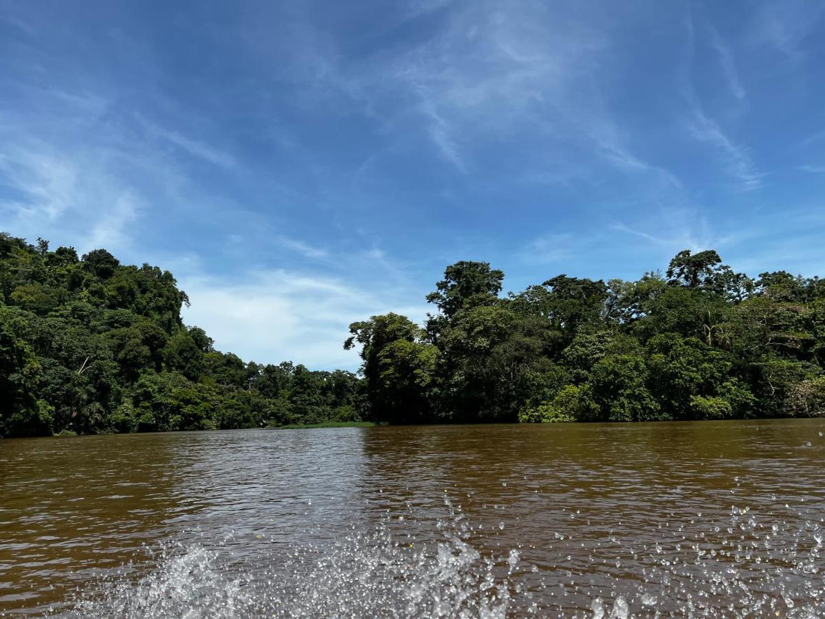 Natural Experience House Tortuguero Dış mekan fotoğraf